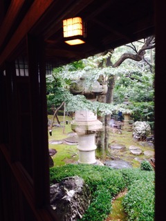 image-d6302.jpg